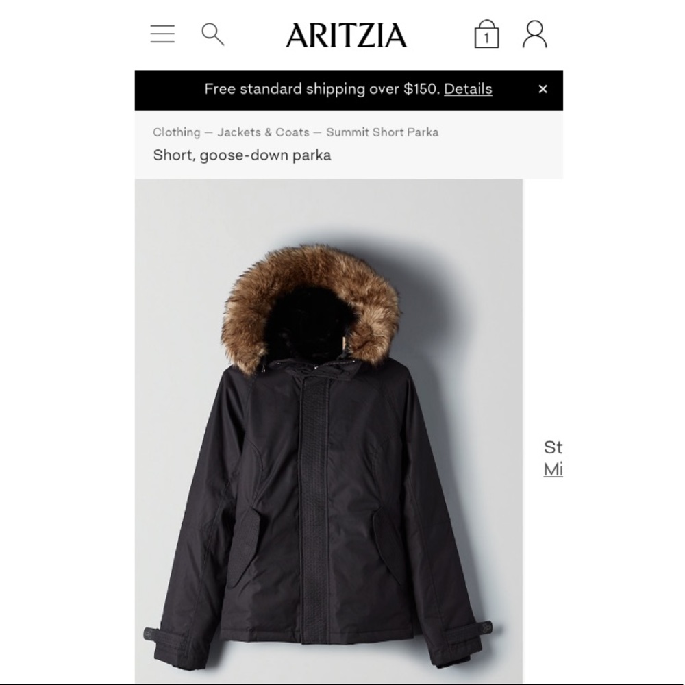 Aritzia TNA short parka
